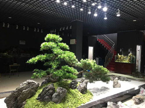 長(zhǎng)沙枯山水室內(nèi)外景觀制作案例賞析——湖南綠蟻人庭院設(shè)計(jì)